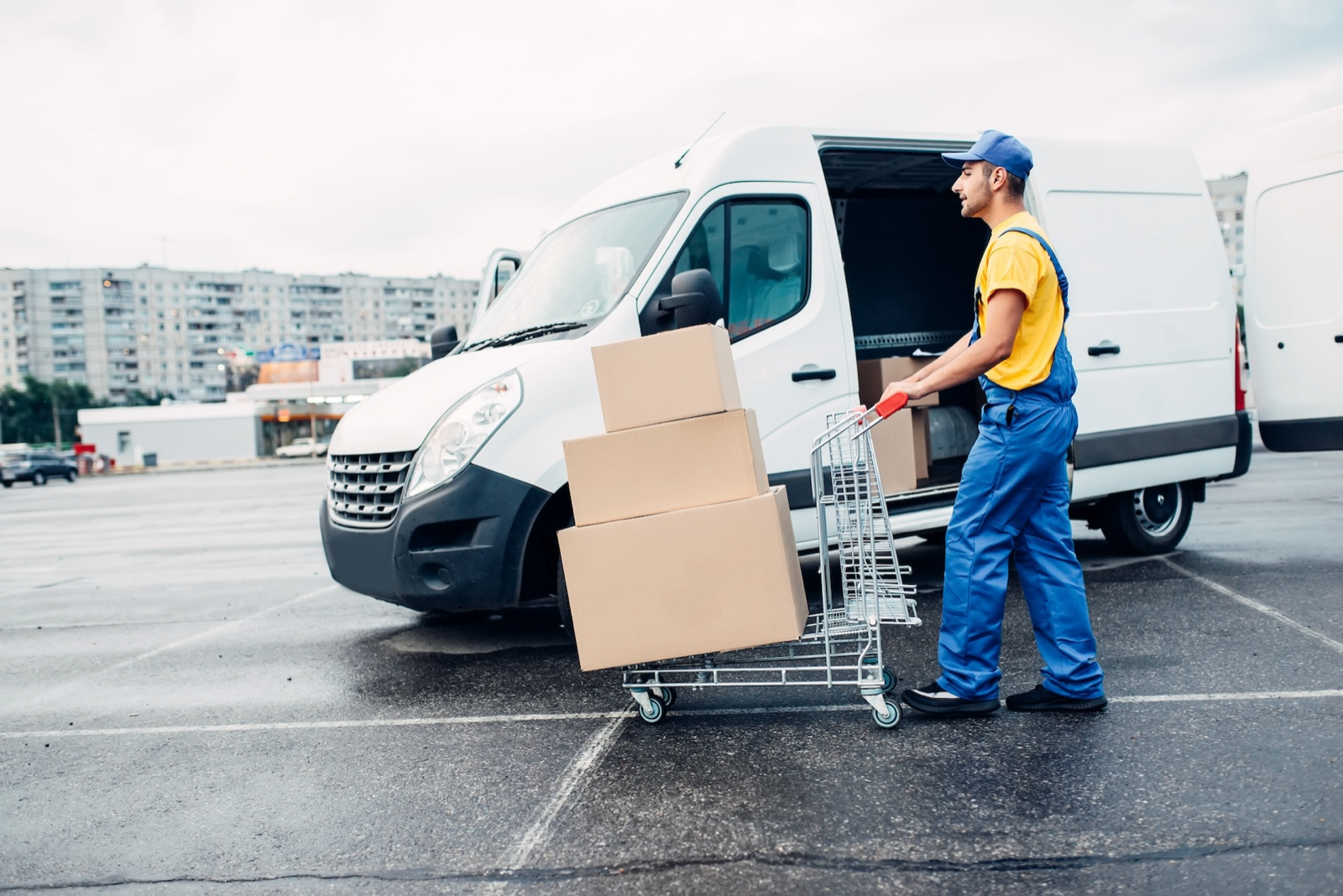 Rinlogis logistics coordination